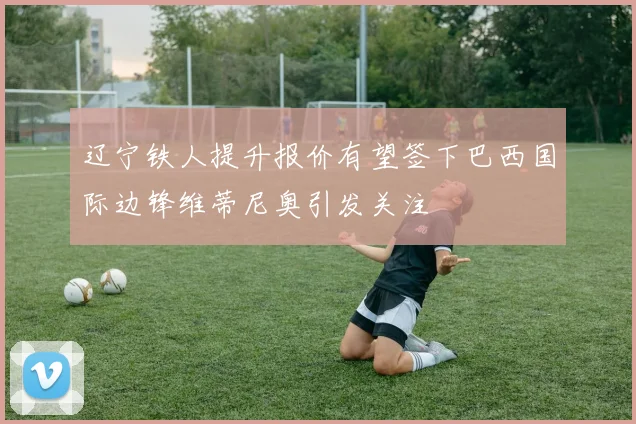 辽宁铁人提升报价有望签下巴西国际边锋维蒂尼奥引发关注