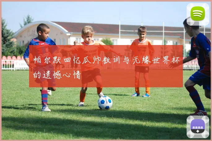 帕尔默回忆瓜帅教训与无缘世界杯的遗憾心情