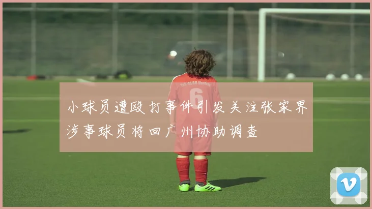 小球员遭殴打事件引发关注张家界涉事球员将回广州协助调查