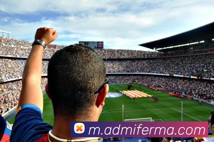 数据分析功能